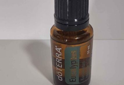 eucalyptus oil to kill bed bugs