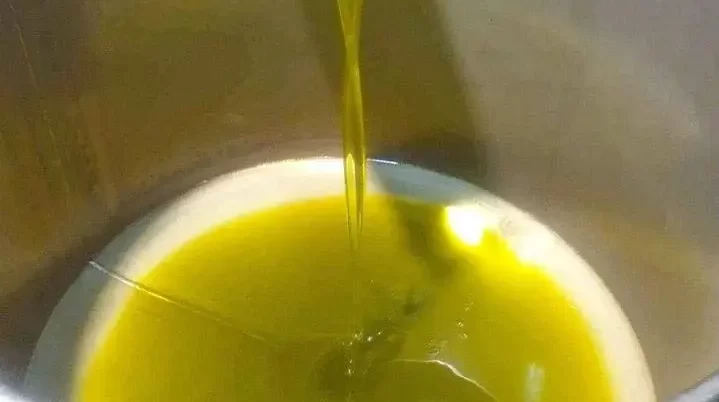 olive oil to get rid of bed bugs