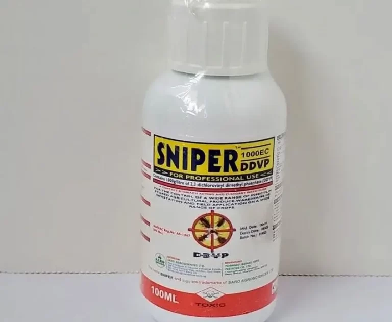 The Best Sprays For Bed Bugs In 2024   SPRAY For Bedbugs 6 E1692458209297 768x631.webp