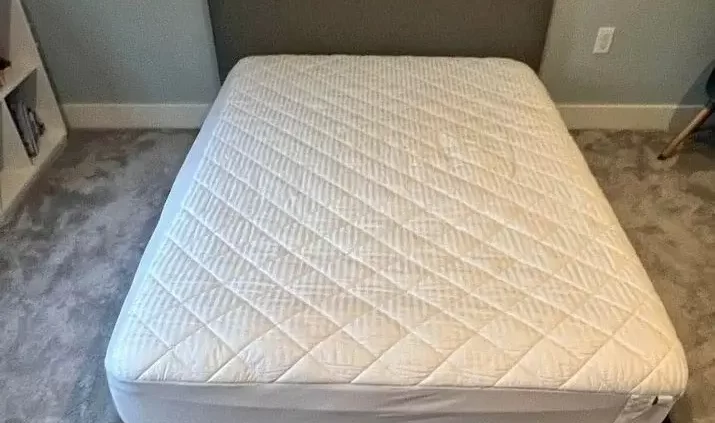 Bed bugs can settle in memory foam mattress