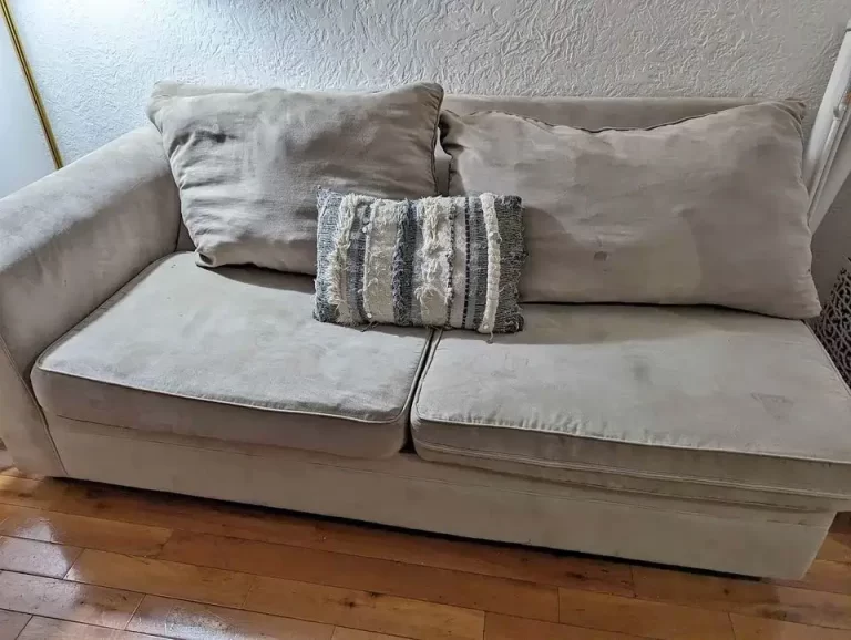 Vacuuming a couch to get rid of bed bugs