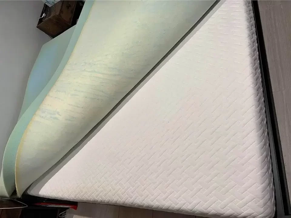 bedbugs on air mattress